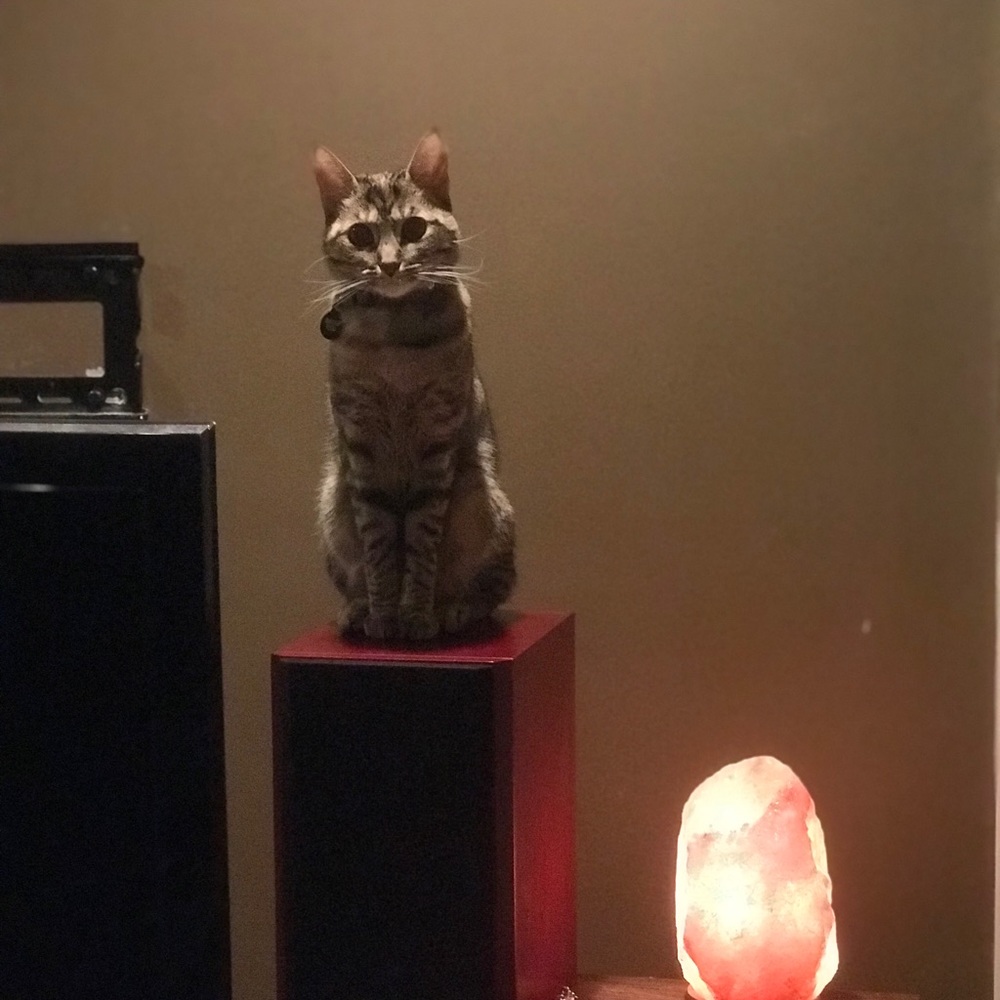 Meet your Posher, Cora